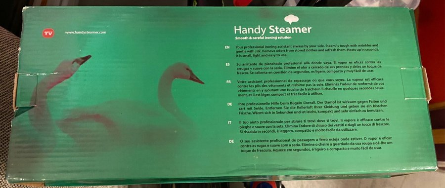 Handy steamer