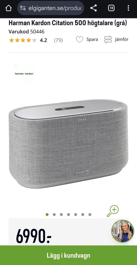 Harman Kardon Citation 500 högtalare