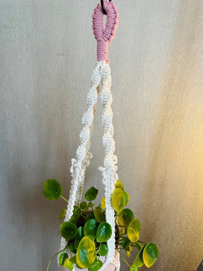 Ampel i makramé /plant hanger