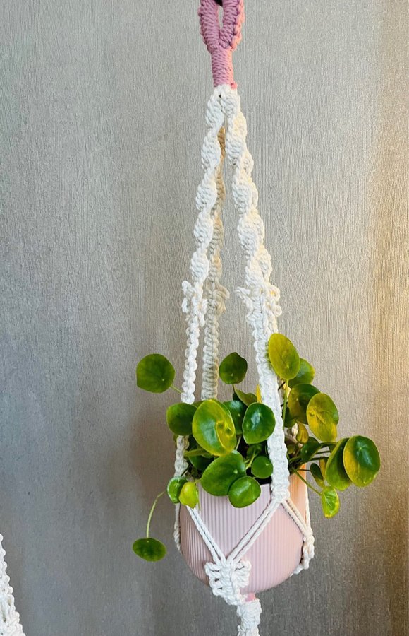 Ampel i makramé /plant hanger