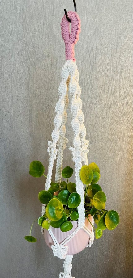 Ampel i makramé /plant hanger