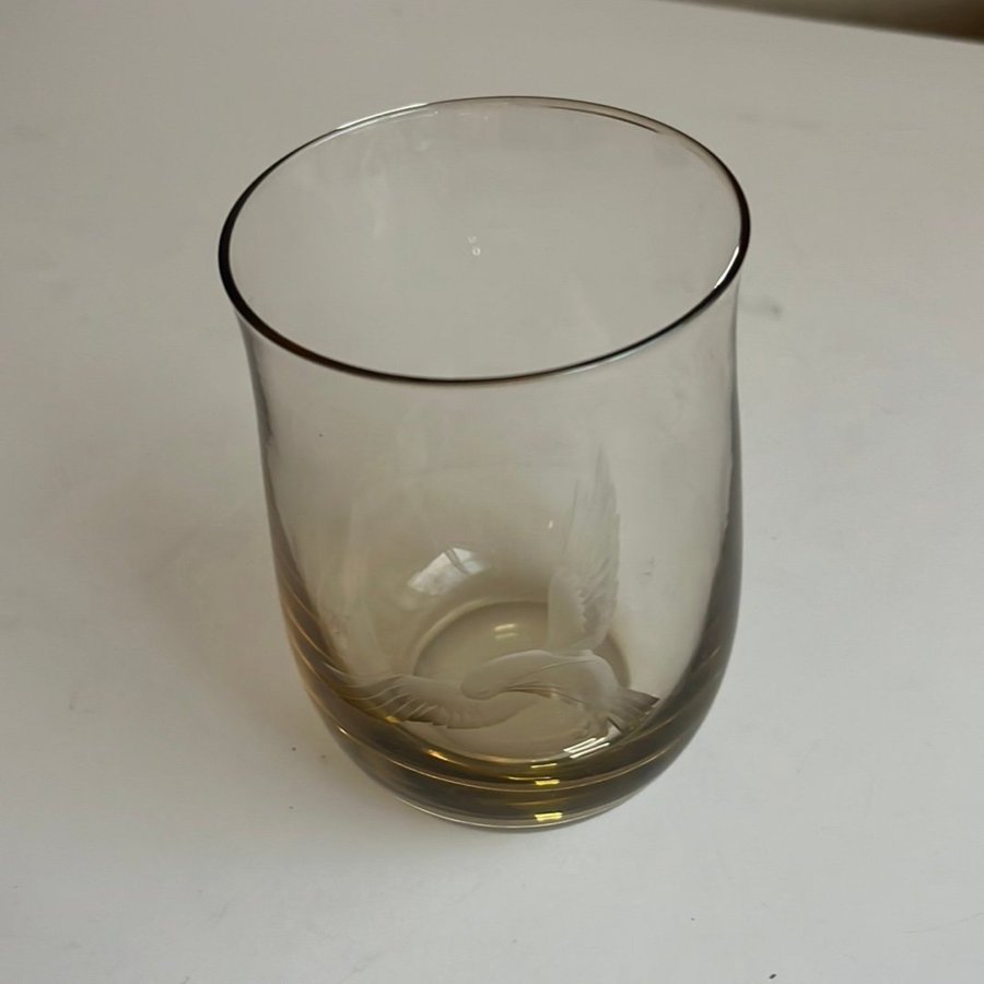 Glas med fågelmotiv