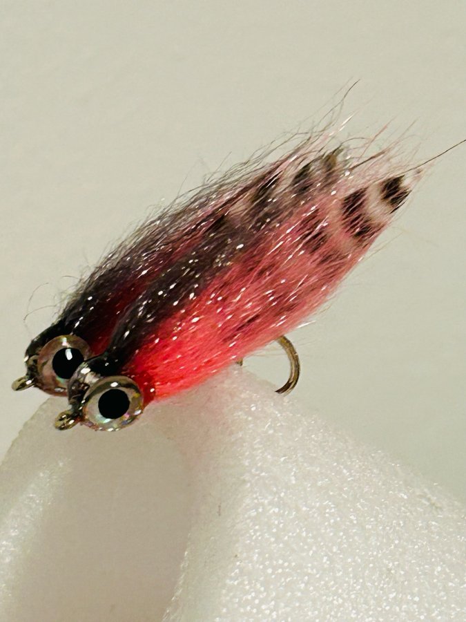 2 st baitfish Grizzly