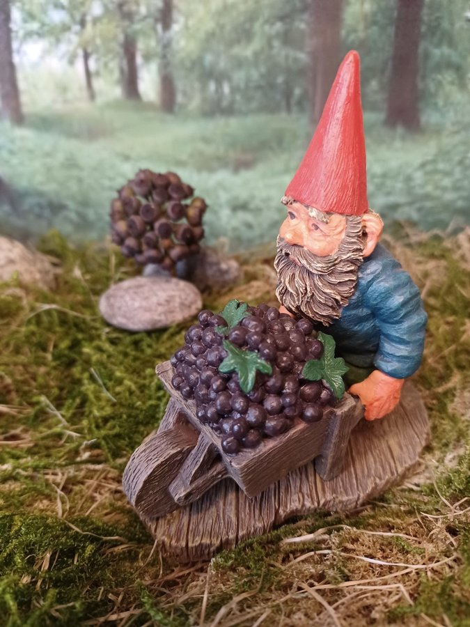 Gnomes, Tomtar, Rien Poortvliet