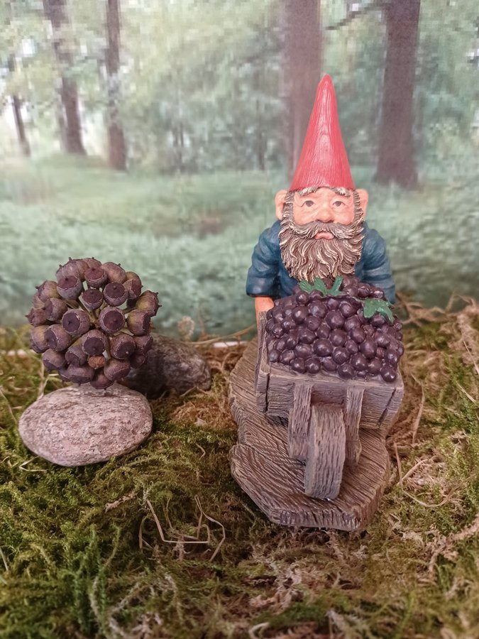 Gnomes, Tomtar, Rien Poortvliet