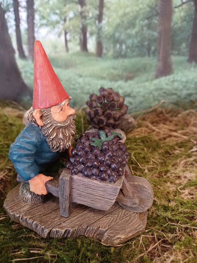 Gnomes, Tomtar, Rien Poortvliet