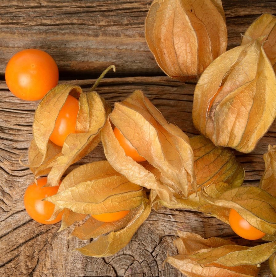 Kapkrusbär/ Physalis - Golden Berry ca 10 frön