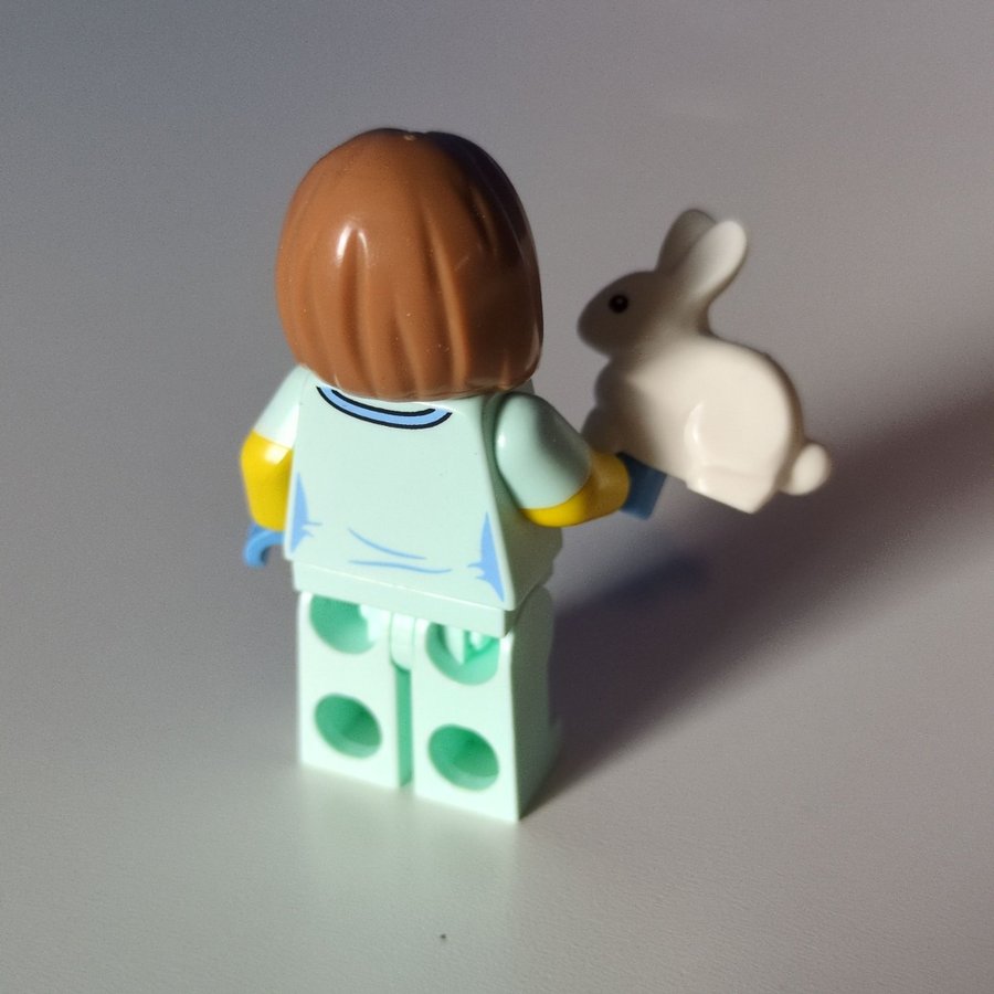 LEGO CMF SERIES 17 Veterinarian