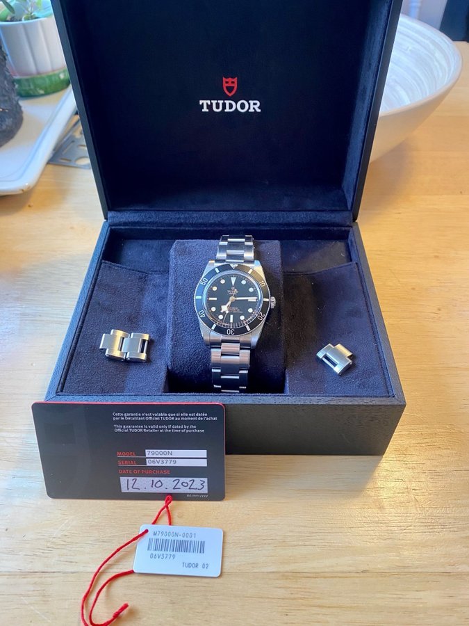 Tudor Black Bay 79000N