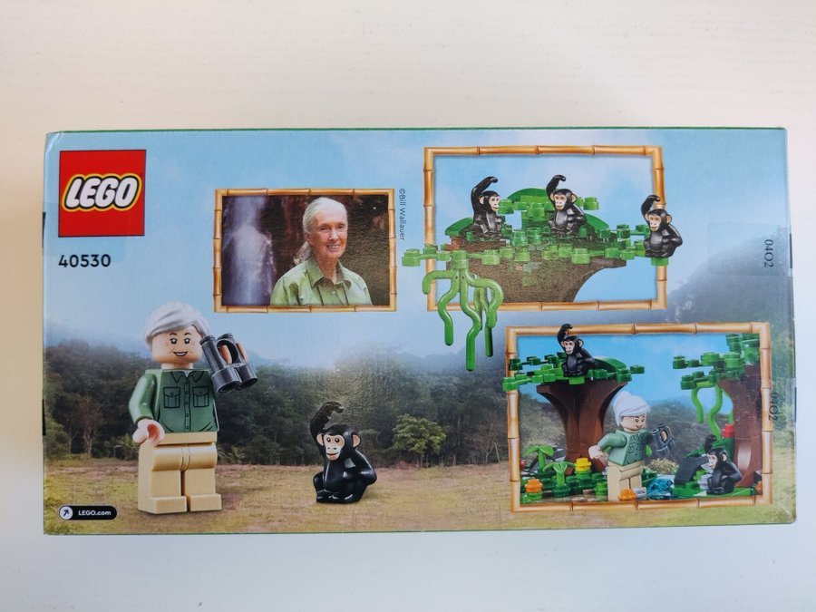 LEGO 40530 Jane Goodall Tribute