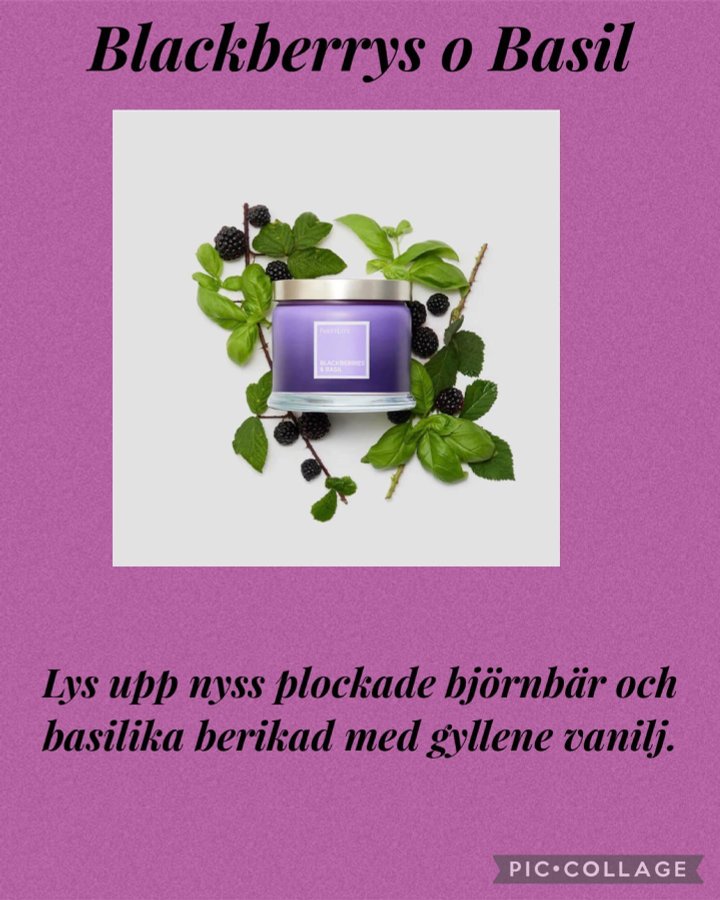 PartyLite 3-veks glasljus - Blackberries  Basil