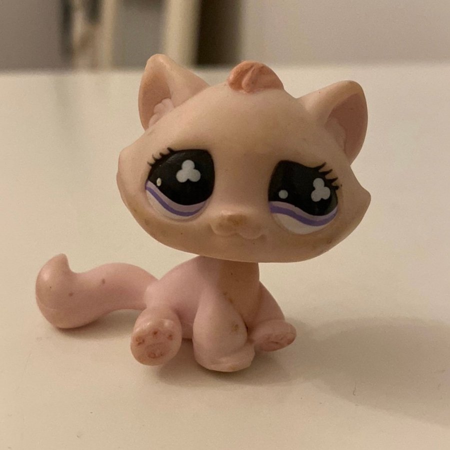 LPS KATT Littlest Pet Shop/Littlest Pet Shops