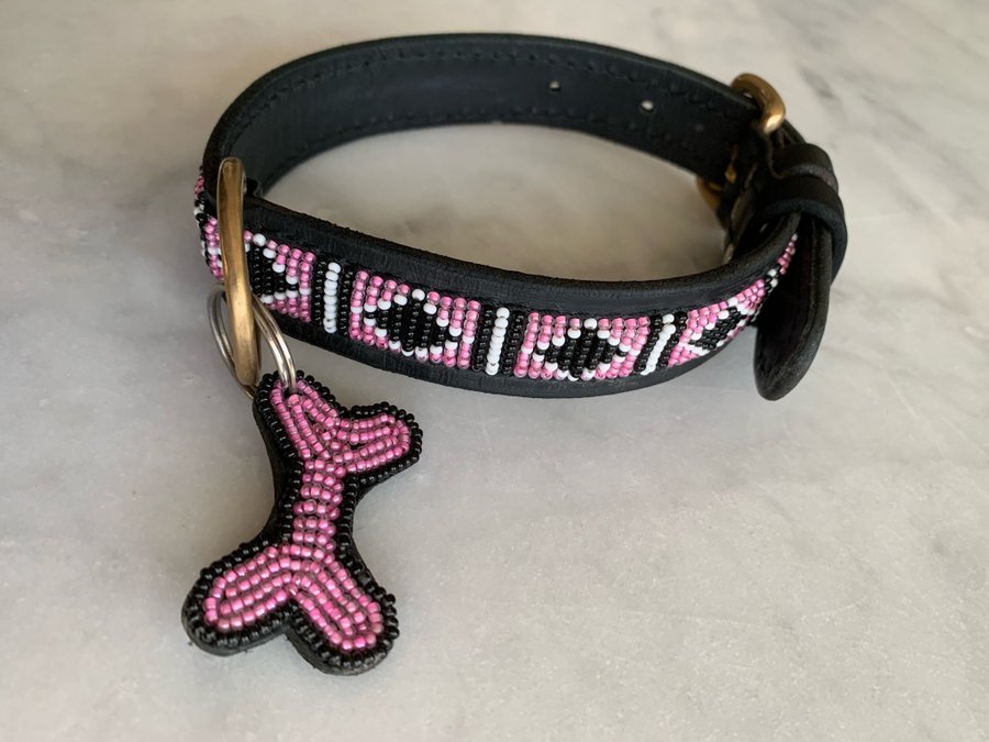 Halsband och Koppel från Kampuni Zinj Design till hund