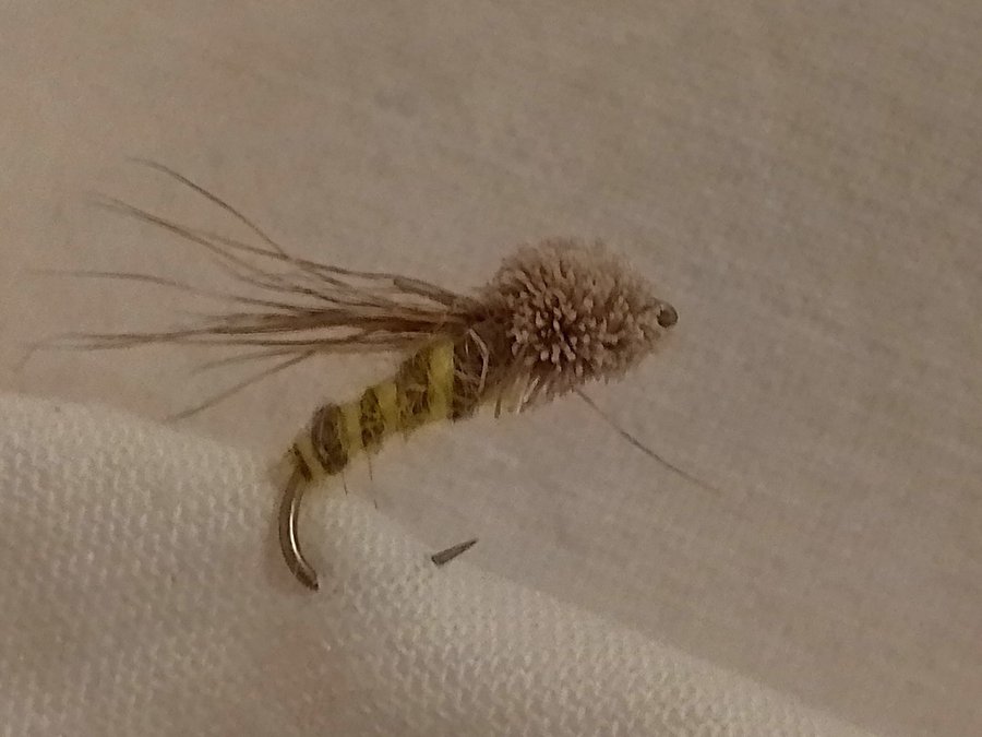 Flugfiske - Streaking Caddis 10a 12st