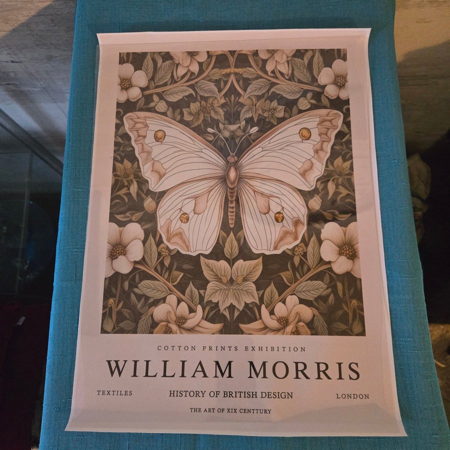 Ljuvlig bild på canvasduk, tavla, poster, Vit FJÄRIL, WILLIAM MORRIS