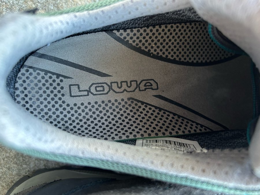 Lowa Focus GTX skor för hiking Grå EU 39