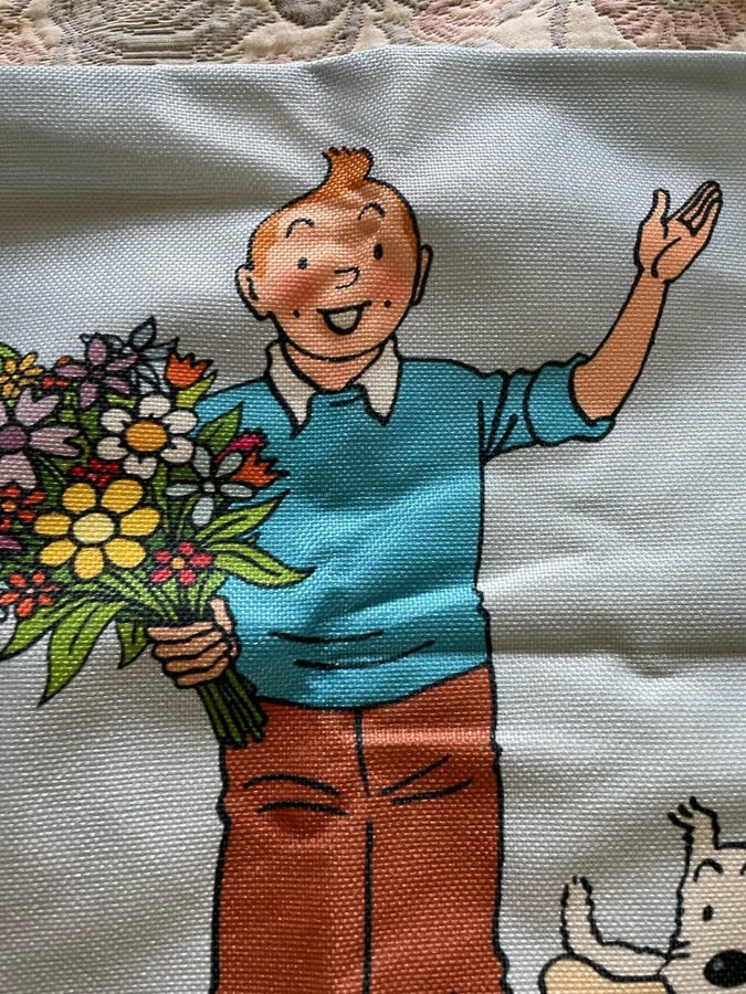 Tintin - Prydnadskuddefodral med klassiskt Tintin motiv