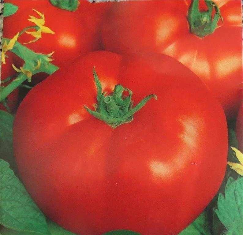 Tomat Marmande 10 Frön