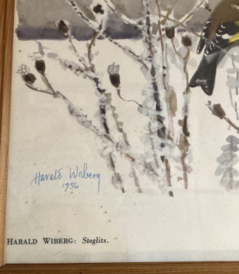 HARALD WIBERG FÅGELTAVLA - GLASAT TRYCK SIGNERAT HARALD WIBERG 1956 L 24 H 33 CM