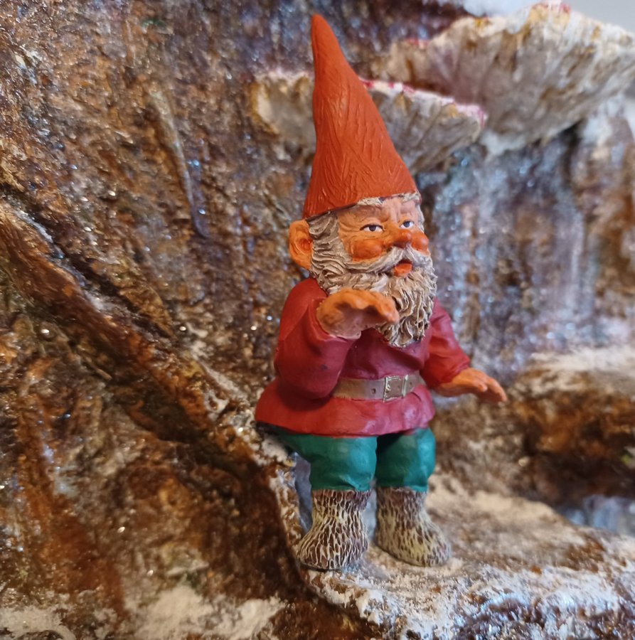 Gnomes, Tomtar, Rien Poortvliet