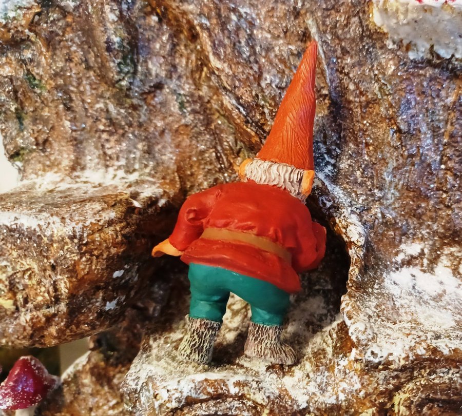 Gnomes, Tomtar, Rien Poortvliet