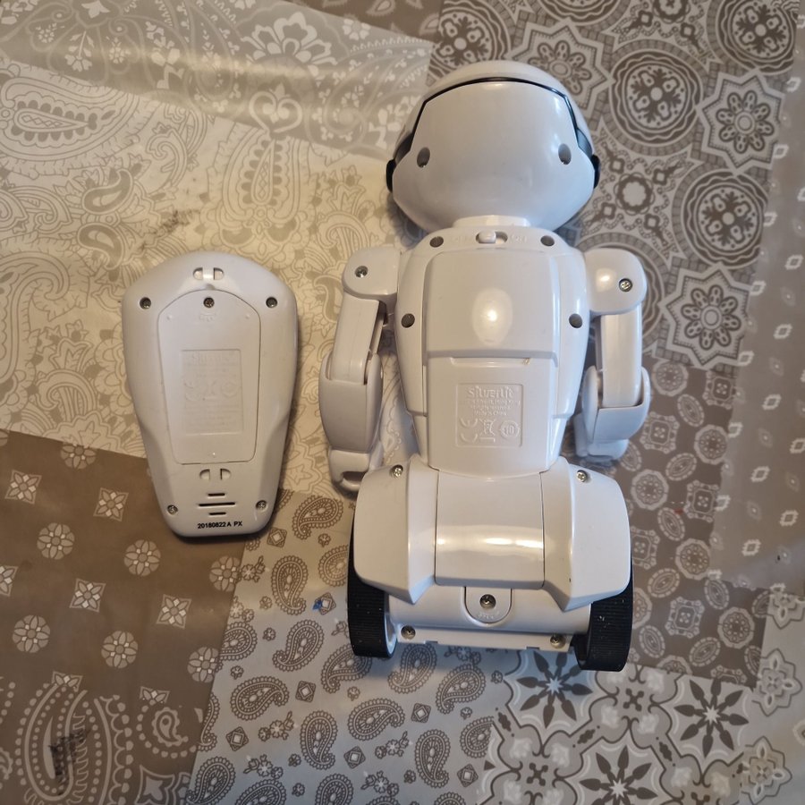 Robot med fjärrkontroll