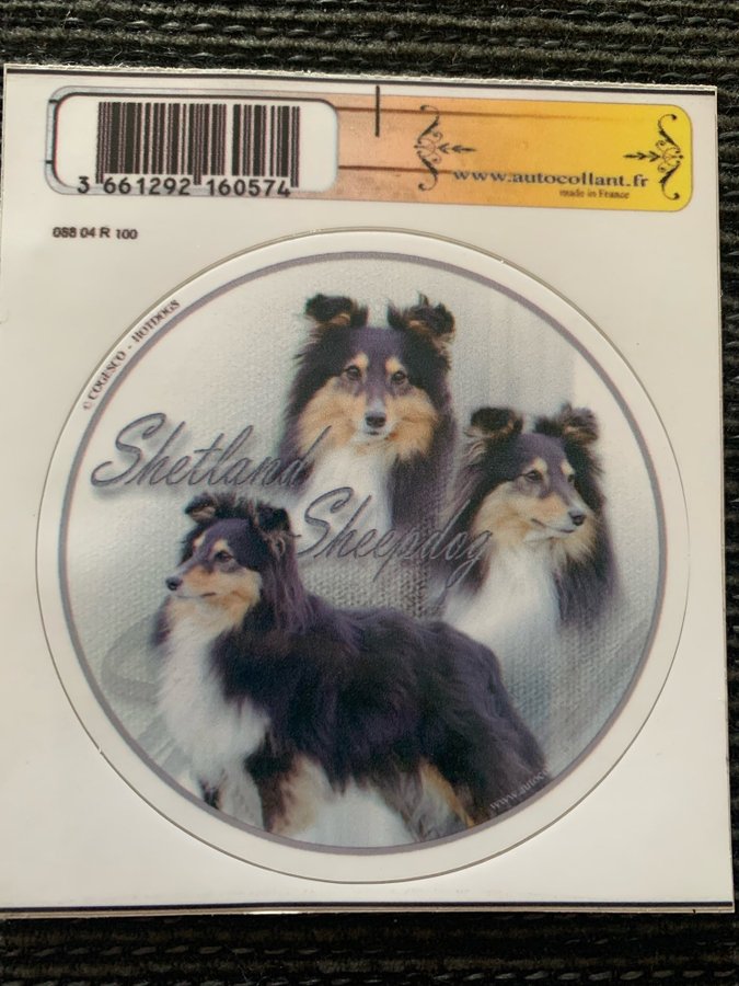 Rund klisterdekal - Shetland sheepdog