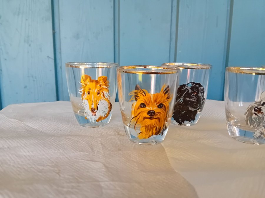 Glas med hund motiv 5 st Retro Höjd 58cm France