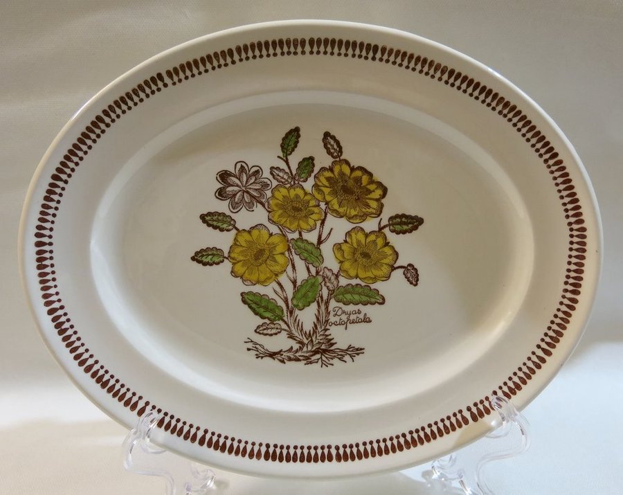 Fat WILD FLOWER Broadhurst Ironstone England Kate Winkle