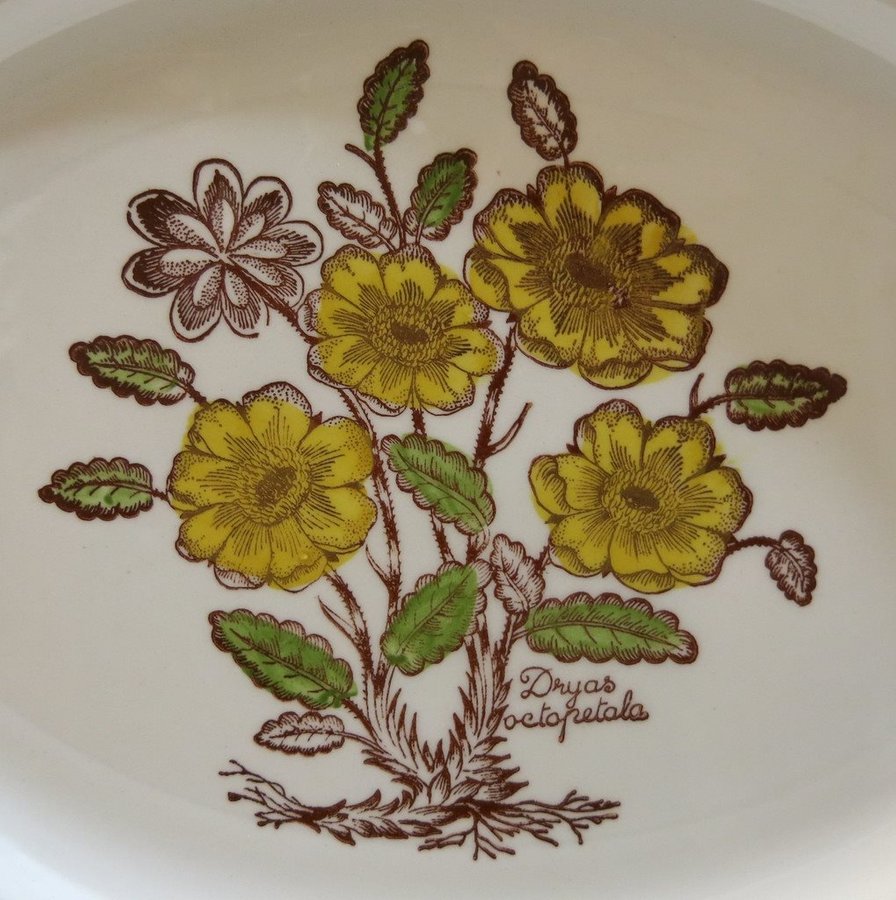 Fat WILD FLOWER Broadhurst Ironstone England Kate Winkle