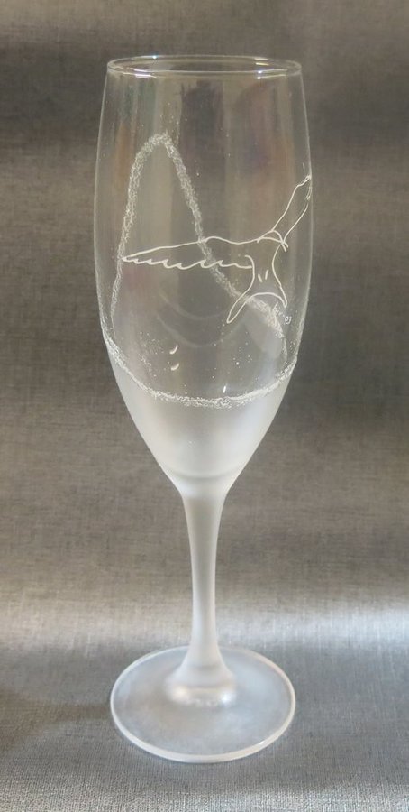 Champagneglas fiskmås liv 03 Arc France