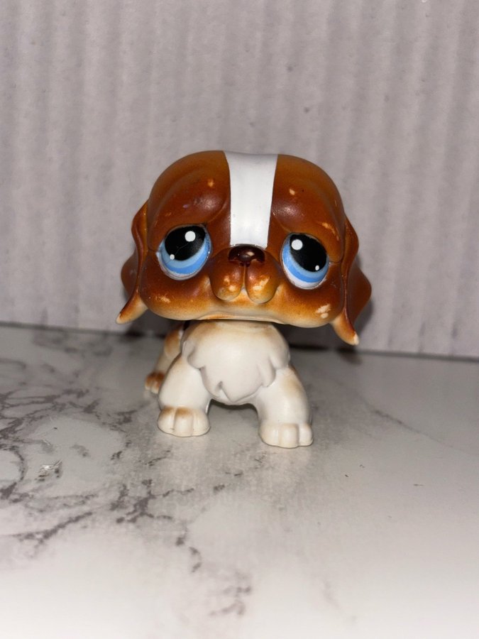 Littlest Pet Shop St Bernard #76 LPS