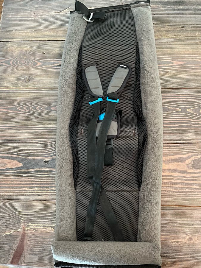 Thule infant sling