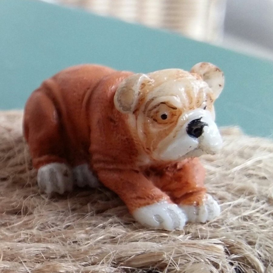 En liten söt BULLDOG(?) en HUND till dockskåpet