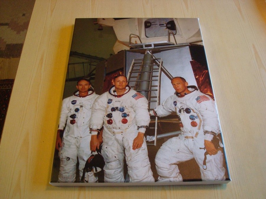 Apollo 11 Limited Edition 50th Anniversary 1969-2019 canvastavla nummer 1/50