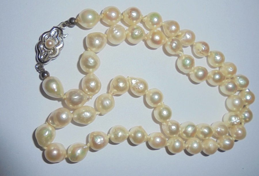 halsband av odlade pärlor Akoya pärlor med silverlås