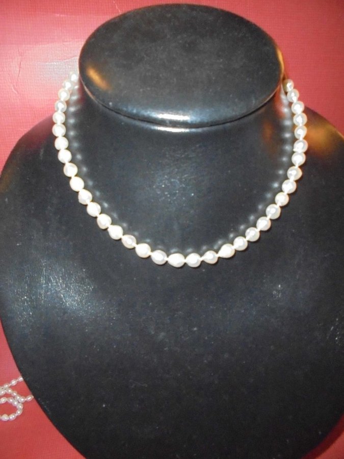 halsband av odlade pärlor Akoya pärlor med silverlås