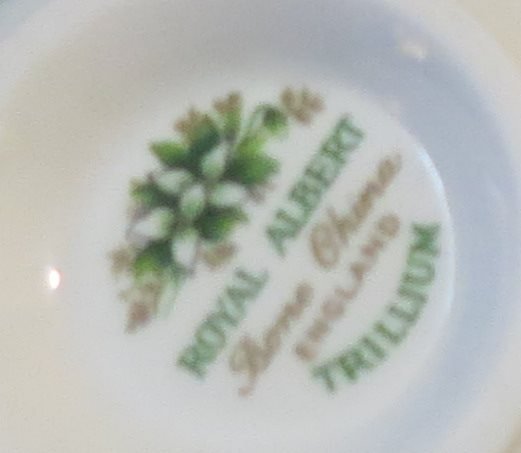 Kopp med fat TRILLIUM ROYAL ALBERT Bone China England