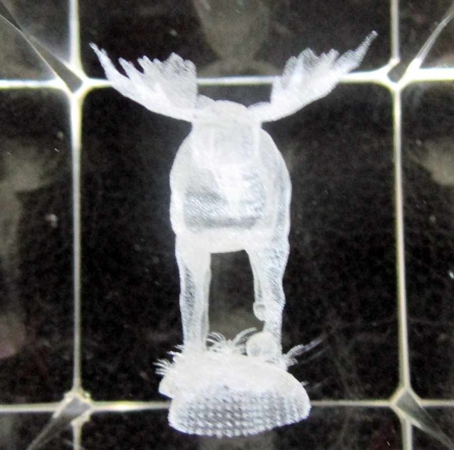 + - 3D Älg glasblock - Glas block älg - Elk - Nyskick- +