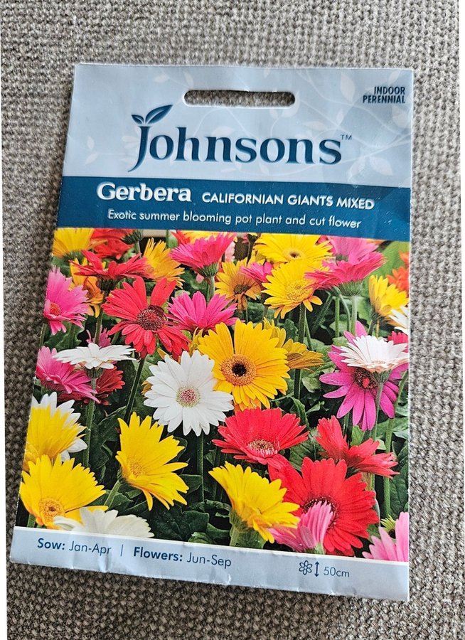 Gerbera frön från Johnsons odla blommor