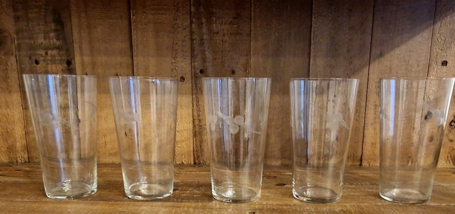 5 st Glas grogglas longdrinkglas slipad dekor troligen Kosta Boda retro vintage