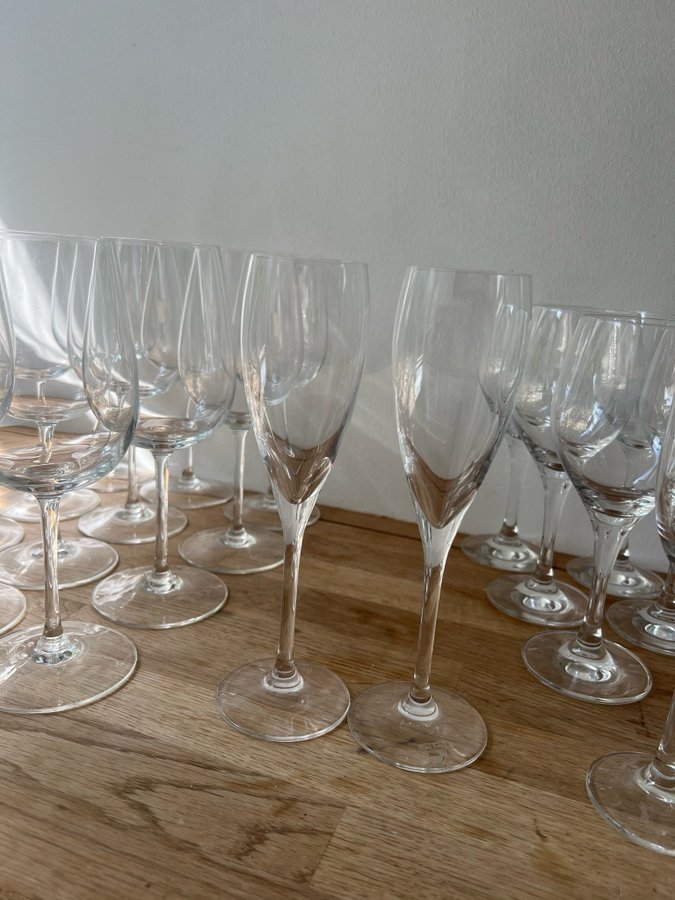 Orrefors champagneglas