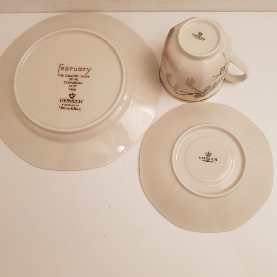 Heinrich Tyskland Villeroy  Boch Set med 1 tekopp/Kaffekopp med assiett januar