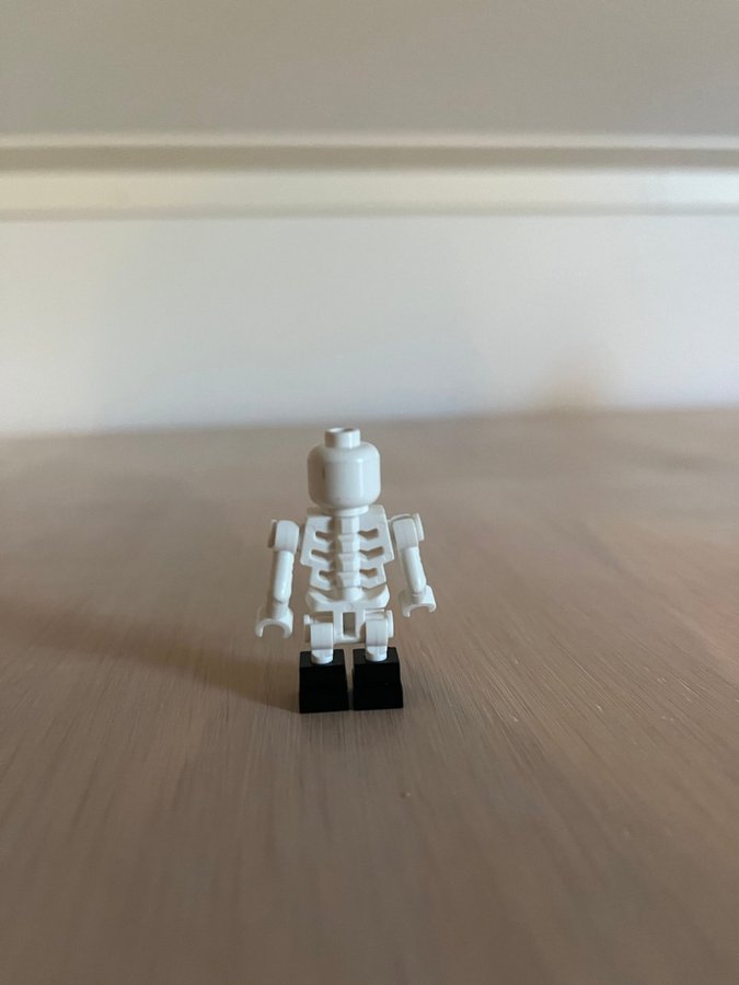 LEGO Ninjago njo020 Chopov (Skulkin)