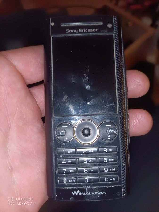 Sony Ericsson W890i