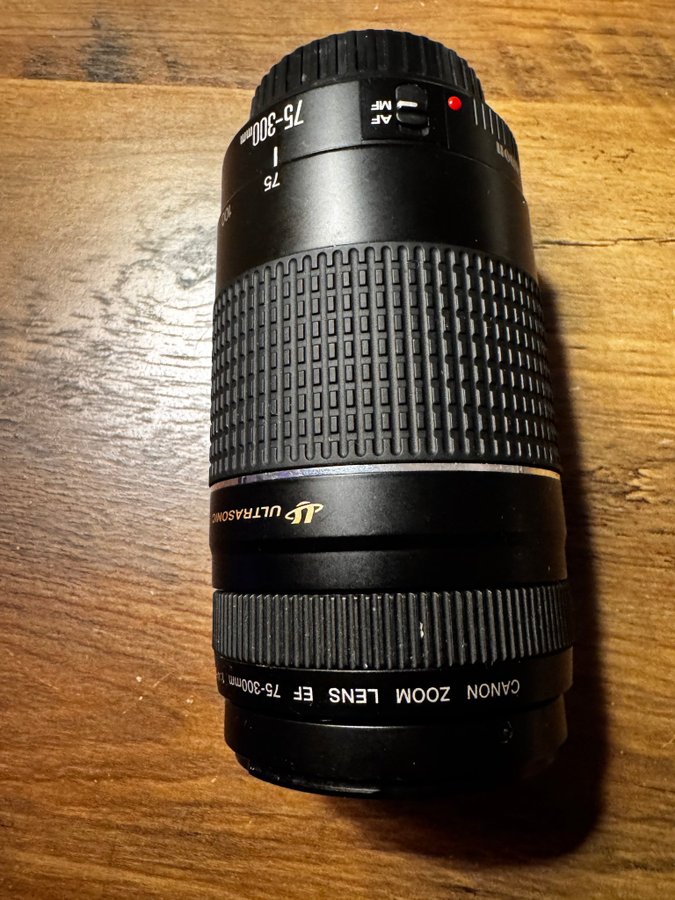 Canon EF 75-300mm f/4-5.6 III USM Objektiv