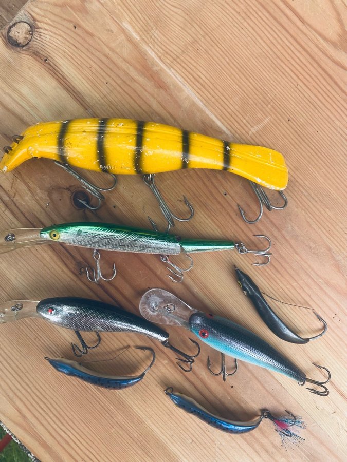 Swim Whizz Cordell Rapala Rebel