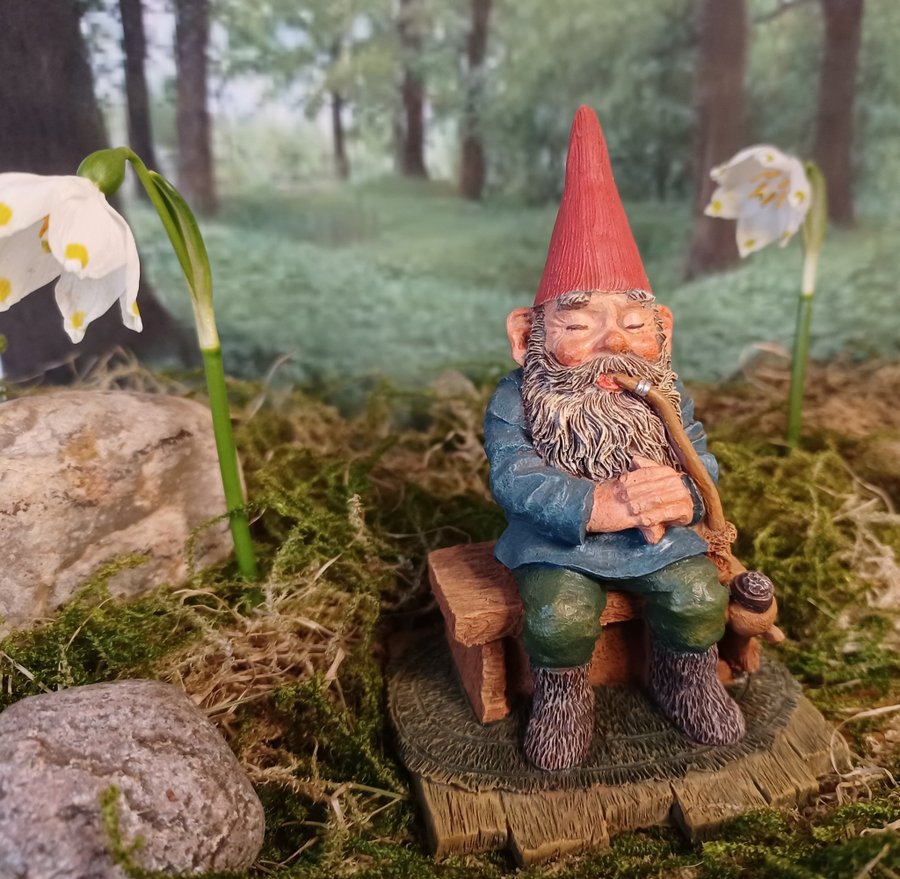 Gnomes, Tomtar, Rien Poortvliet