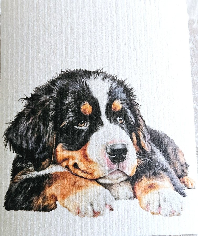 Disktrasa wettex duk med tryck print Berner Sennenhund valp