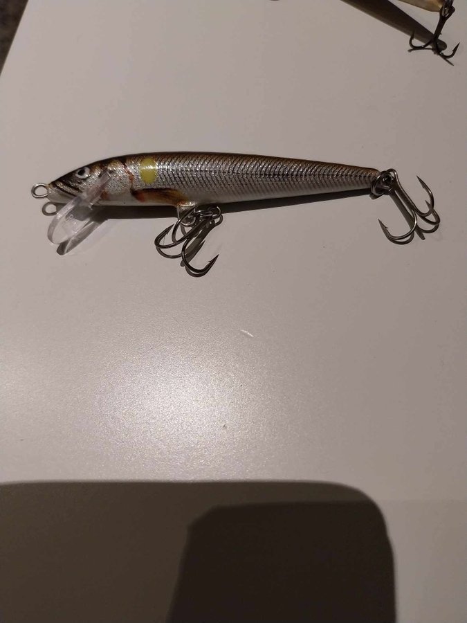 Rapala floating 11cm